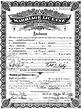 Dolan Marriage License