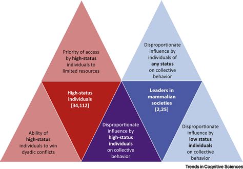 A Dual Model Of Leadership And Hierarchy Evolutionary Synthesis