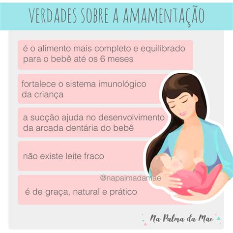 Verdades E Curiosidades Sobre A Amamenta O