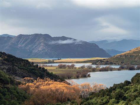 View Of Lake Wanaka In Autumn Photograph By Millward Shoults