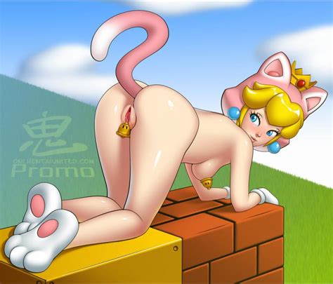 1573434 Oni Artist Princess Peach Super Mario 3d World