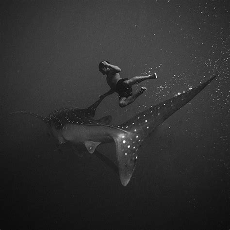 Black And White Underwater Photography By Hengki Koentjoro