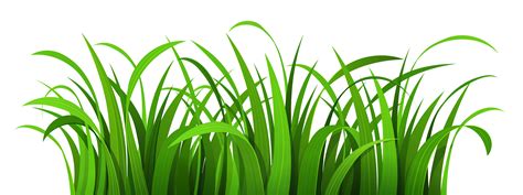 Grass Outline Free Download On Clipartmag