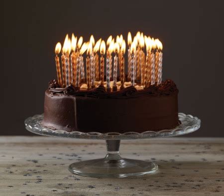 Almost everyone in this world enjoy chocolate more so here wer provide a chocolate cake to make your important day special and in a different and unique way. Chocolate Birthday Cake, A Delicious Birthday Cake Perfect ...