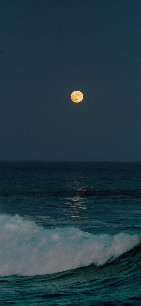 Full Moon Over The Ocean Iphone Wallpapers Free Download