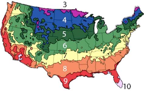 Usda Plant Hardiness Zone Map Images And Photos Finder