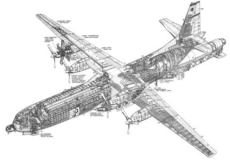 C 17 Aircraft Cutaway Drawing