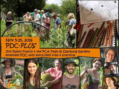 Robyn Francis Permaculture Pioneer