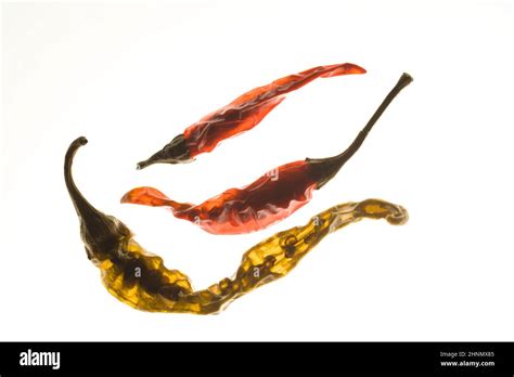 Three Dried Chili Peppers Are Dsiplayed On A Backlit Background Showing
