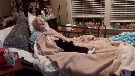 Cat Refuses To Leave Bedside Of Dying Grandma Who Raised Her