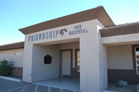 On the street of north saguaro boulevard and street number is 11679. Hospital Tour | Friendship Pet Hospital