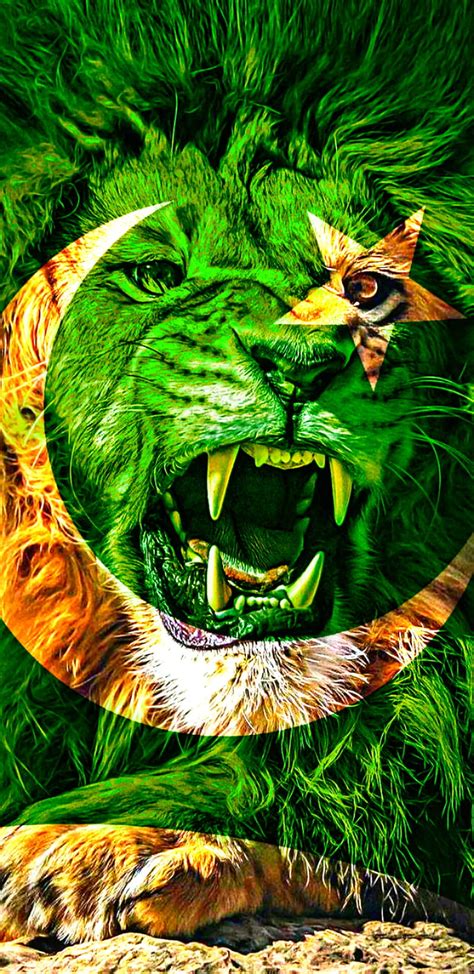 Pakistan Flag King 2 14 Agate 2020 Eyes Flagking Lion Pakistan