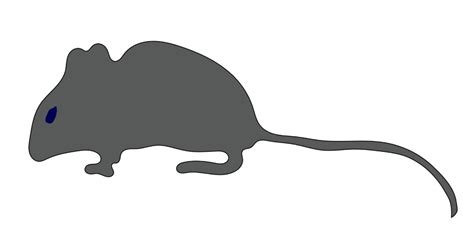 Download High Quality Cat Clipart Rat Transparent Png Images Art Prim