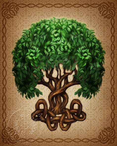 Celtic Tree Of Life Wallpaper Wallpapersafari