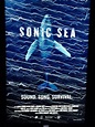 Film Series - Sonic Sa