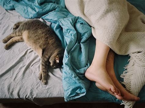 Does Your Cat Sleep With You Heres Why You Should Let Them Sleep