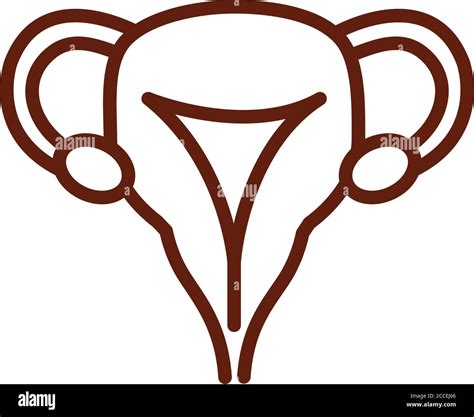 Ovaries Icon Hi Res Stock Photography And Images Alamy