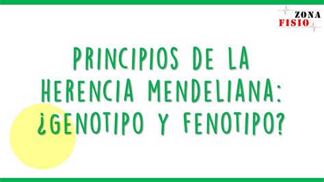 GenÉtica Principios De La Herencia Mendeliana Genotipo Y Fenotipo