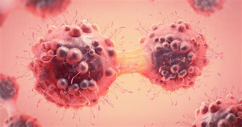 An example of this is cancers are supposed to be home bodies, but i have neptune in sagittarius. Busting myths: Cancer is not just one disease | CTCA