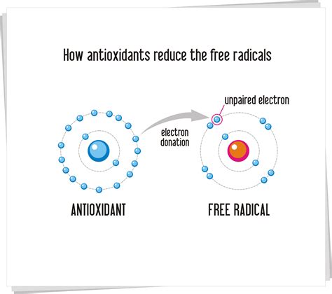 Free radicals exist in our environment and can be generated from substances in the food we eat, the medicines we take, the air we breathe and the water we drink, says dr. MY GREEN LADY: WHAT IS AN ANTIOXIDANT?, WHAT IS A FREE ...