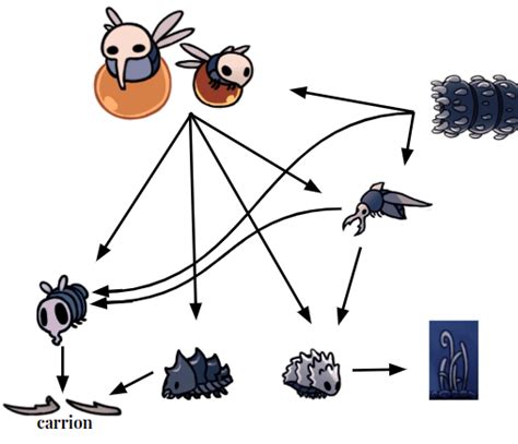 Created A Food Web Out Of Boredom Rhollowknight