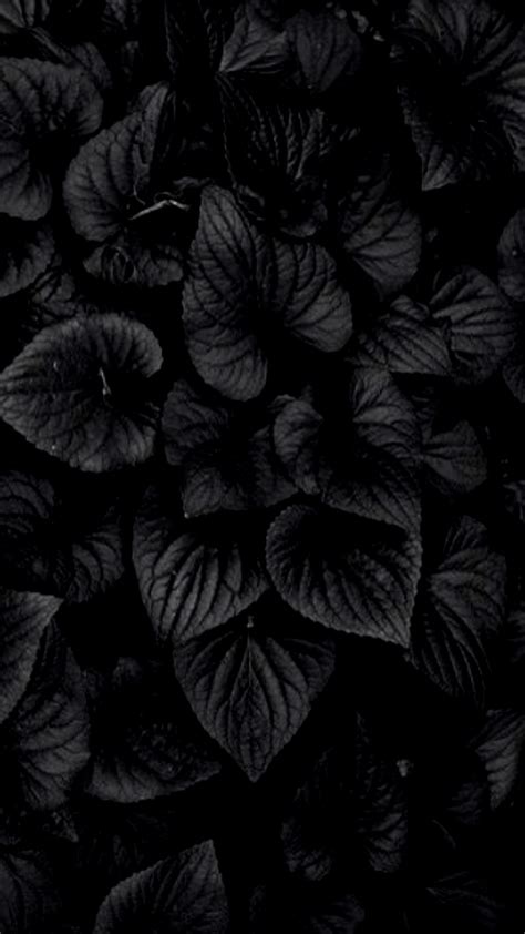 4k Black Wallpapers Top Free 4k Black Backgrounds