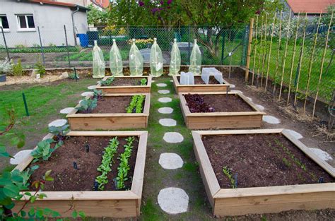 Le Top des fruits et légumes à cultiver dans son potager Jardin en carré Carré potager Potager