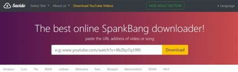Mejor 5 Descargador De Spankbang Para Descargar Videos De Spankbang