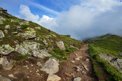 Eastern Carpathians In Summer Eastern Carpathians In Summer Ukraine