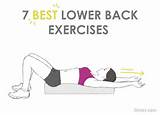 Images of Exercises Lower Back