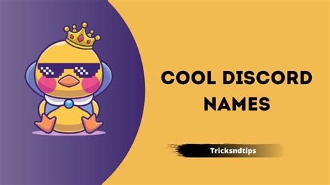 Discord Names 247 Unique Funny Good And Cool Names Updated