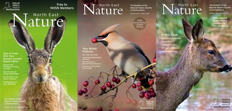 Nhsn Publications Natural History Society Of Northumbria