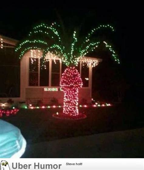 Why Floridians Shouldnt Put Christmas Lights Up On Their Palm Trees