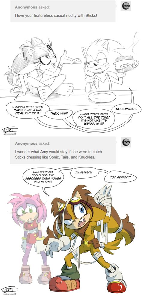 Sticks Shenanigans Continued Sonic The Hedgehog Know Your Meme