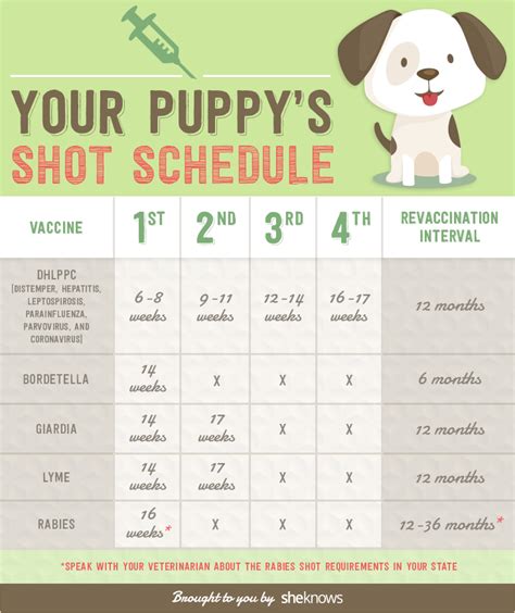 Printable Puppy Vaccination Chart Use The Chart Below To Keep Track Of