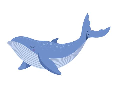 Blue Whale Vector Art Icons And Graphics For Free Download
