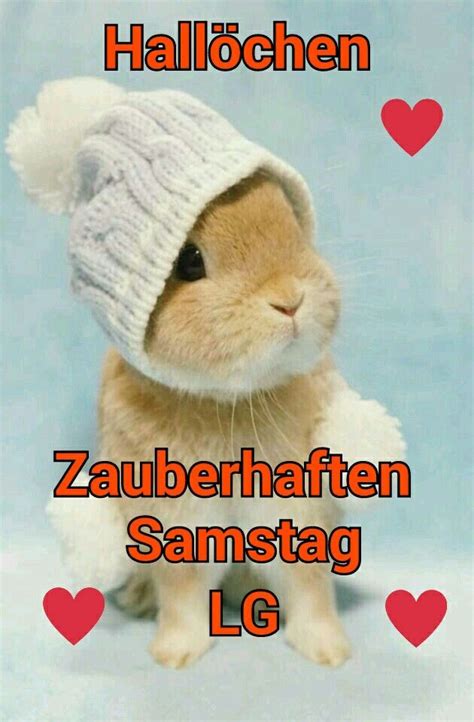 We did not find results for: Pin von Sylvia Knop auf Samstag | Lustige bilder, Guten ...