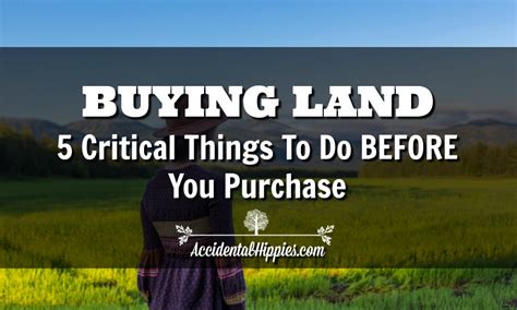 Buying Land 5 Critical Things To Do Before You Purchase Accidental
