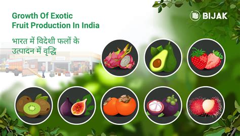Growth Of Exotic Fruit Production In India