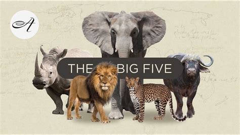 The Big Five In South Africa With Audley Travel Youtube