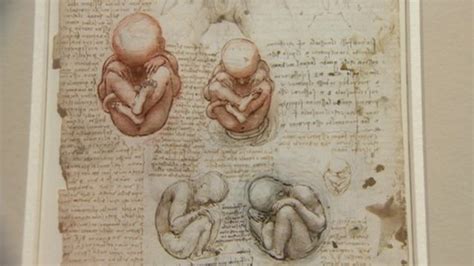 Bbc News Leonardo The Artist As Anatomist