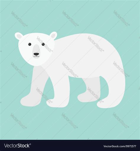 Arctic Polar Bear Cub Cute Cartoon Baby Character Vector Image