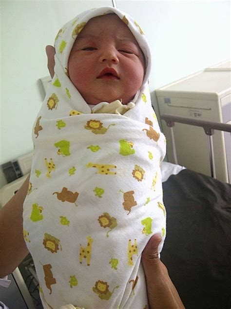 foto bayi perempuan lucu cantik imut galeri gambar