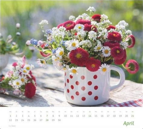 Timesandmore Blumen Bildkalender 2024 Kalender Portofrei Bestellen