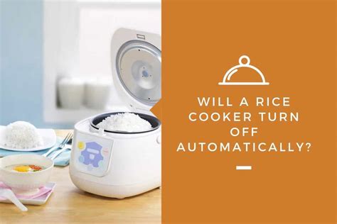 How Do Rice Cookers Turn Off Automatically A Complete Guide Planthd