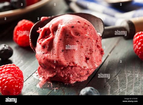 Homemade Organic Berry Sorbet Ice Cream Ready To Eat Stock Photo Alamy