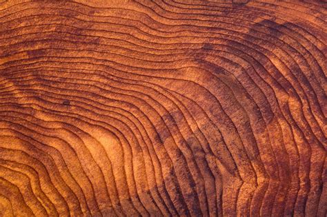 Close Up Of Redwood Burl Wood Grain Texture Public Policy Institute