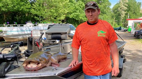 A New State Record For Flathead Catfish Recorded