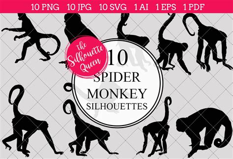 Spider Monkey Silhouette Vector Graphic Objects Creative Market
