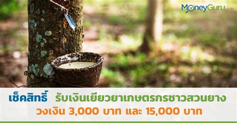 เช็กสิทธิ์เงินเยียวยากลุ่มเปราะบาง รับ 3,000 บาท อยากรู้ว่าจะมีสิทธิ์ได้รับเงินหรือเปล่า แค่กรอกเลขบัตรประชาชน 13 หลักในเว็บไซต์ตรวจสอบสิทธิ์. เช็คสิทธิ์รับเงินเยียวยาเกษตรกร 3,000 บาท และ 15,000 บาท ...